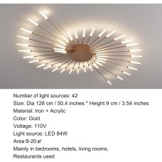 Ceiling Lamp Fixture
