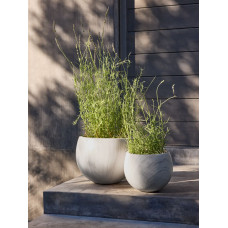 Ceramic Plant Pot